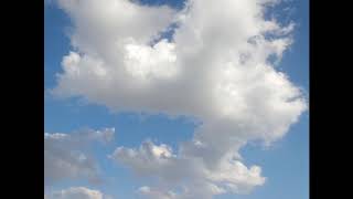 wings（LIVE） kitaro