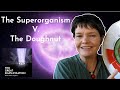 Kate Raworth: "The Superorganism V. The Doughnut" | The Great Simplification #77
