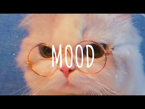 [Vietsub + Lyric] 24Kgoldn - Mood (remix) | Music Tik Tok