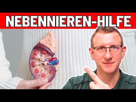 Nebennierenschwäche behandeln - Ursache Progesteronmangel?