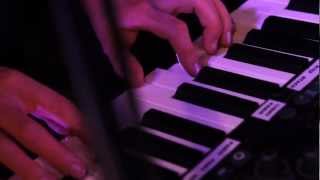 Limbic System - Living Mice (from Minecraft by 'C418')