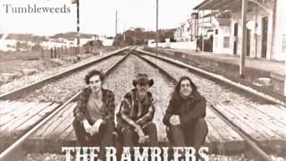 Tumbling Tumbleweeds