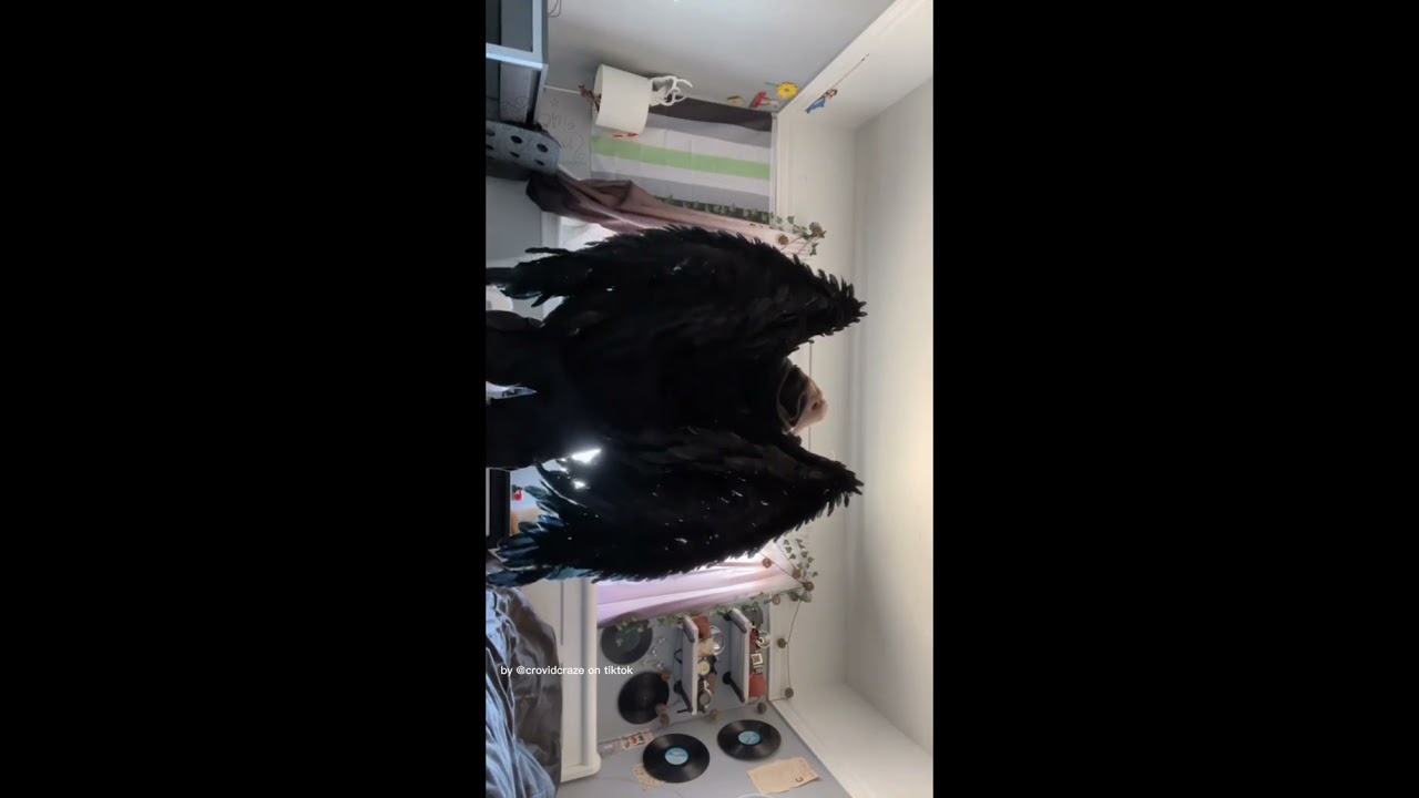 bird therian or any other bird alterhuman tiktok comp#therian#birdtherian#alterhuman#gear#vocals☆`~.