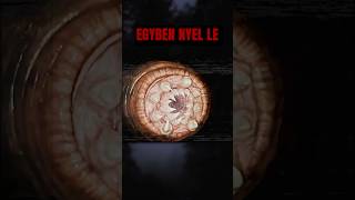 Ezzel találhatod szembe magad a BACKROOMSBAN❗️|  BACKROOMS ENTITÁSOK | Memory Worm