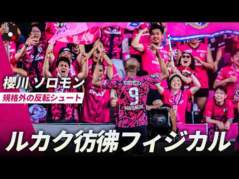 動画サムネイル