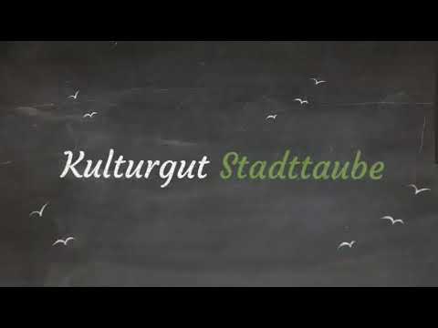 Kulturgut Taube