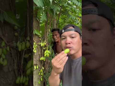 Como se llama esta fruta que hace que la boca se te vuelva agua