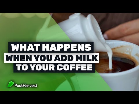 What Happens When You Add Milk to Your Coffee