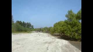preview picture of video 'kalipur beach, diglipur, north andaman islands, india'