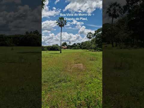 Boa Vista do Morro do Chapéu do Piauí,  01-04-2026