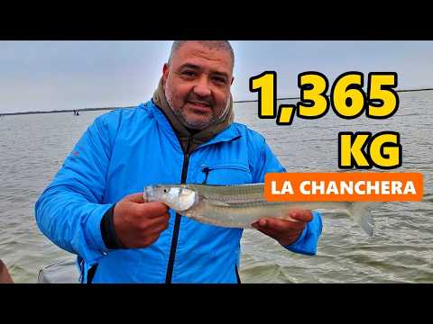 Pejerrey de 1,365 kg en La Chanchera, Laboulaye