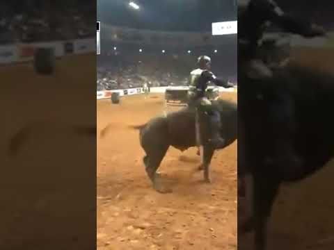 PBR 2022 Jan Wrecks ❌💥