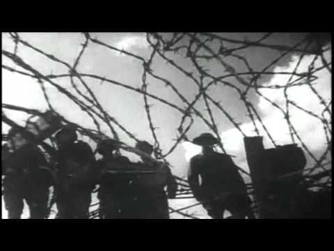 Strydwolf - Handen in Elkaar