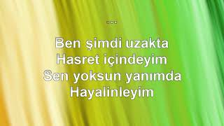 BANA DA SÖYLE KARAOKE ZİYNET SALİ