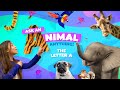 Ask An Animal Anything The Letter A