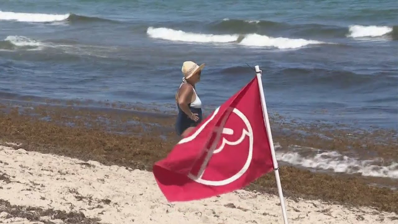 Dangerous rip currents: Dozens rescued at South Florida beaches this weekend