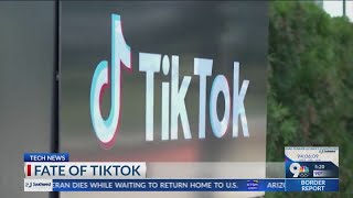 Banning of TikTok can possibly affect local businesses