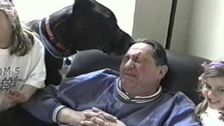 Great Danes are awesome