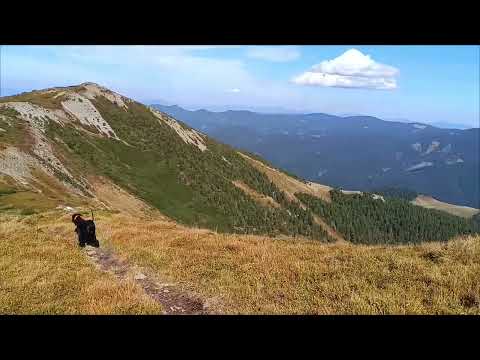 Kis-Beszterce csúcsról menet a Kis- Beszterce Sarka(1950m)felé. Kelemen-havasok Vârful Bistriciorul.