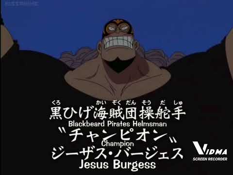 One Piece - Blackbeard Pirates Introduction