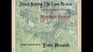 Down Among The Cane Brakes CD - Tom Roush