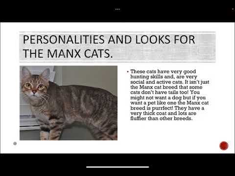 Manx cats origins