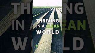 A Clean Economy Made In Europe