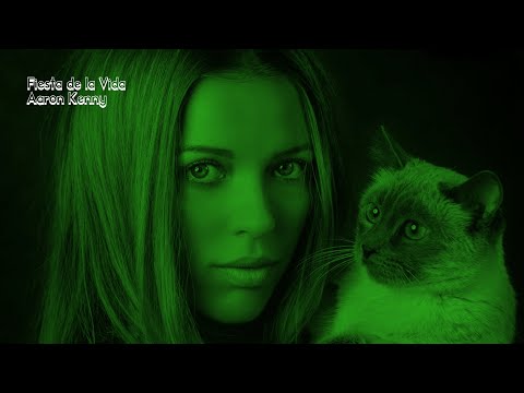 Fiesta de la Vida - Aaron Kenny | 1 Hour