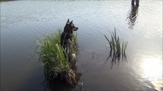 Ссылка