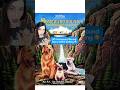 Did You Know THIS About Homeward Bound 90s Nostalgia