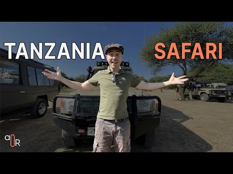 , title : 'National Park In Tanzania African Safari'