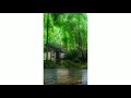 Is Kadar Tumse Pyar Ho Gaya WhatsApp Status