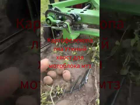 фото картофелекопалка утиный хвост для мотоблока мтз 0