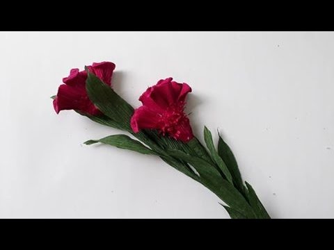 DIY - Craft tutorial How to make paper flower   Cockscomb by crepe paper - Làm hoa mào gà giấy nhún