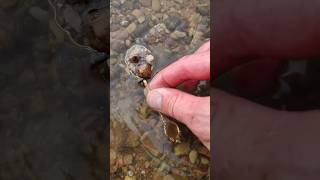 Half of my life I&#39;ve been hunting for this find...