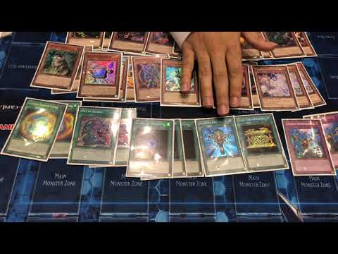 1ST PLACE THUNDER DRAGON (Abdulrahman) Ranked