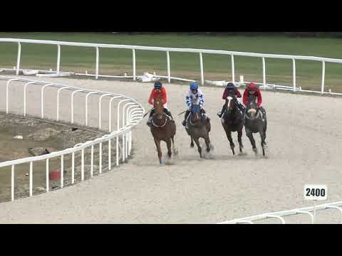 2021.04.03. 06. futam - SÜTVÉNYI DÍJ (I.kat.)(szintetikus pálya)