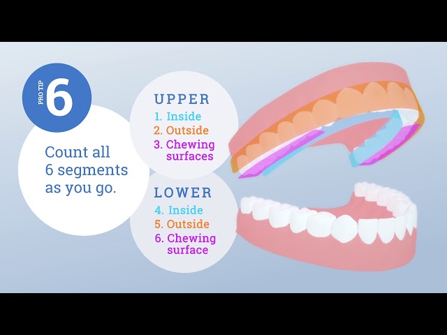 BB Dental Cairns Dentists - Earlville, QLD