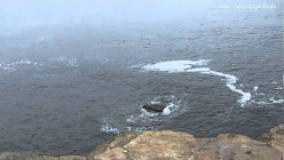 Acantilados de Yesnaby • Mainland • Orkney Islands