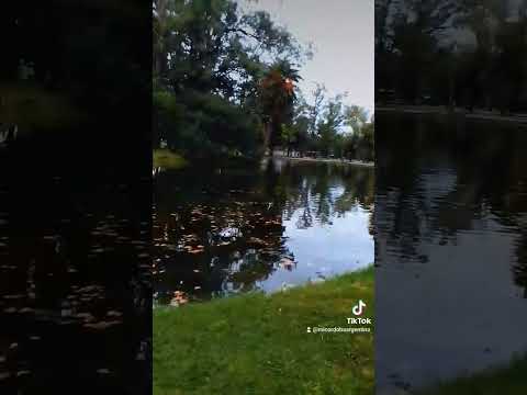 Hermosa tarde lago Parque Sarmiento #cordoba #park #walk #paseos #cba #lagos #rain rain