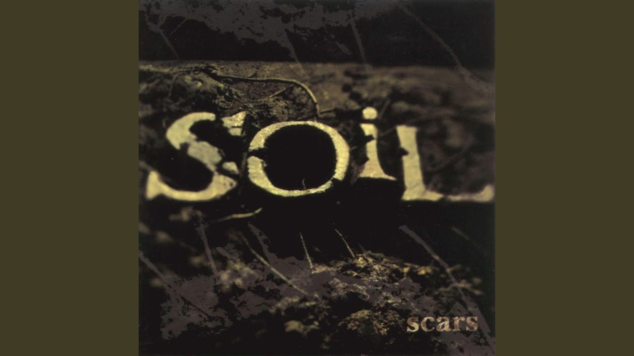 Soil scars. Soil unreal. Группа soil 1993. Aj cavalier. Soil обложки альбомов.