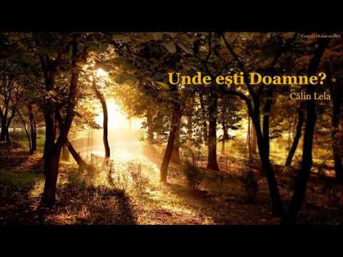 Calin Lela - Unde esti Doamne?
