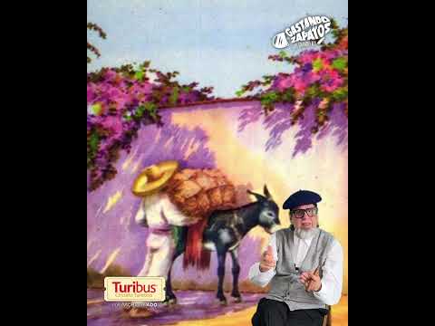 Cápsula 1 “Los Leones”… Esquina Avenida 1 y Calle 10