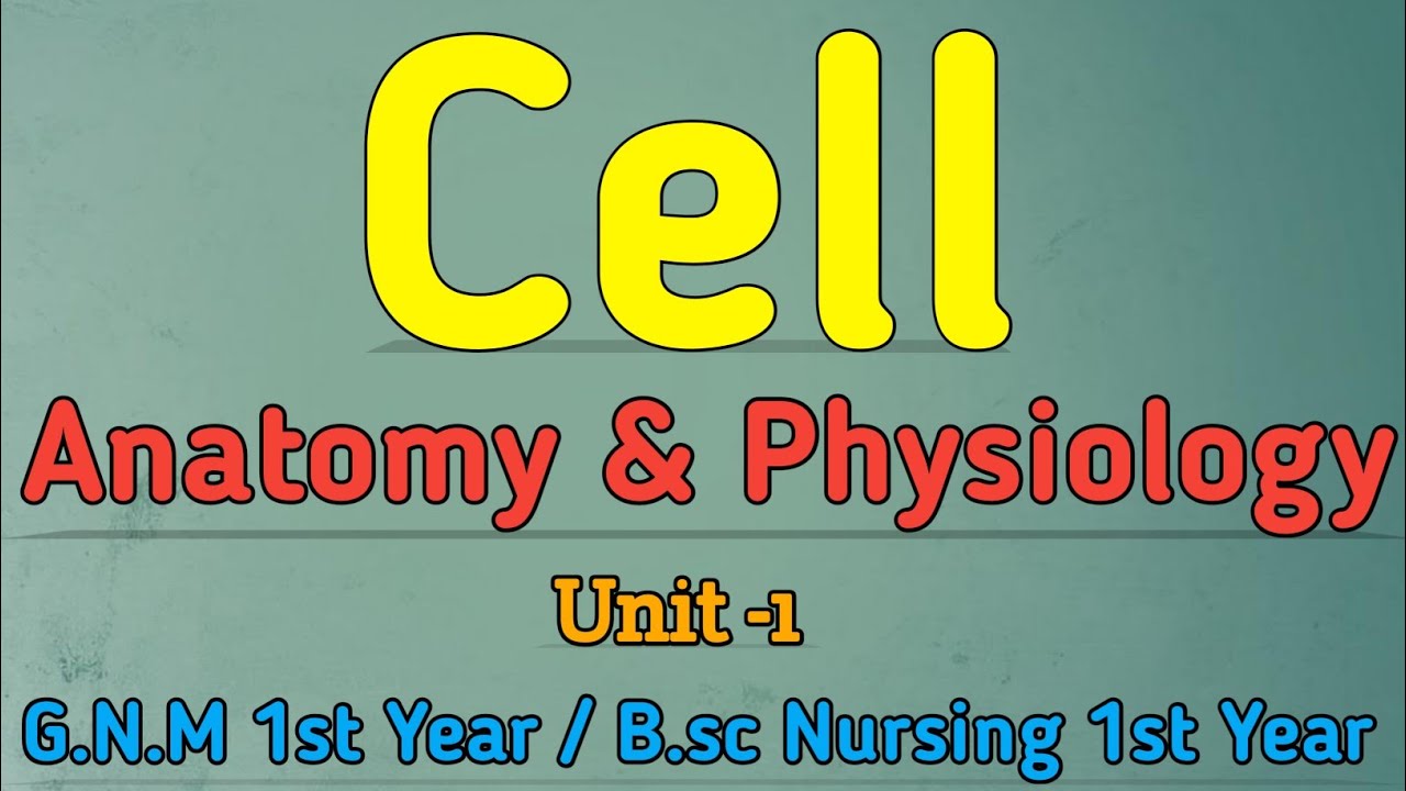 Watch video Cell || Cell Anatomy and Physiology || Anatomy Anyd Physiology for Nursing Students Now Cell || Cell Anatomy and Physiology || Anatomy Anyd Physiology for Nursing Students