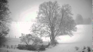 preview picture of video 'Schubert - Winterreise - Der Wegweiser'