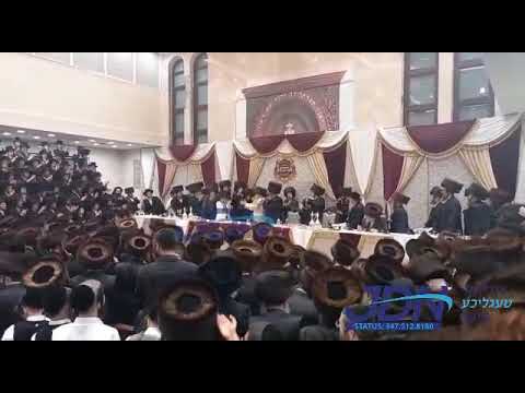 Sasov - pinsk-karlin - kretchnif-siget wedding - Elul 5781