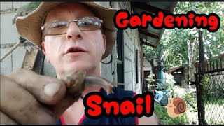 2,How To Garden, Gardening Jobs This Morning Philippines