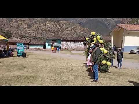 Lanzamiento del Proyecto de Paltos en la Provincia de Paruro, video de YouTube