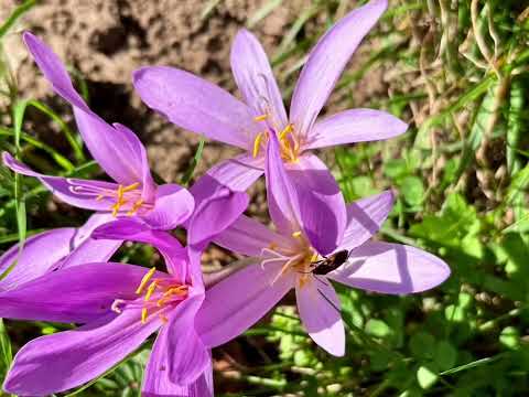 Eine wunderschöne Wanderung in der Rhön 🥾🎒