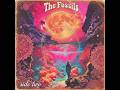 The Fossils B Side Full Album 60s Psychedelic Acid Folk Rock